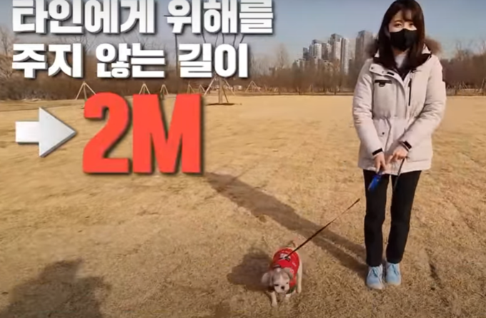 개의 목줄이나 몸줄은 2미터 이상이 되면 안 된다. <사진='SBS' 캡처>