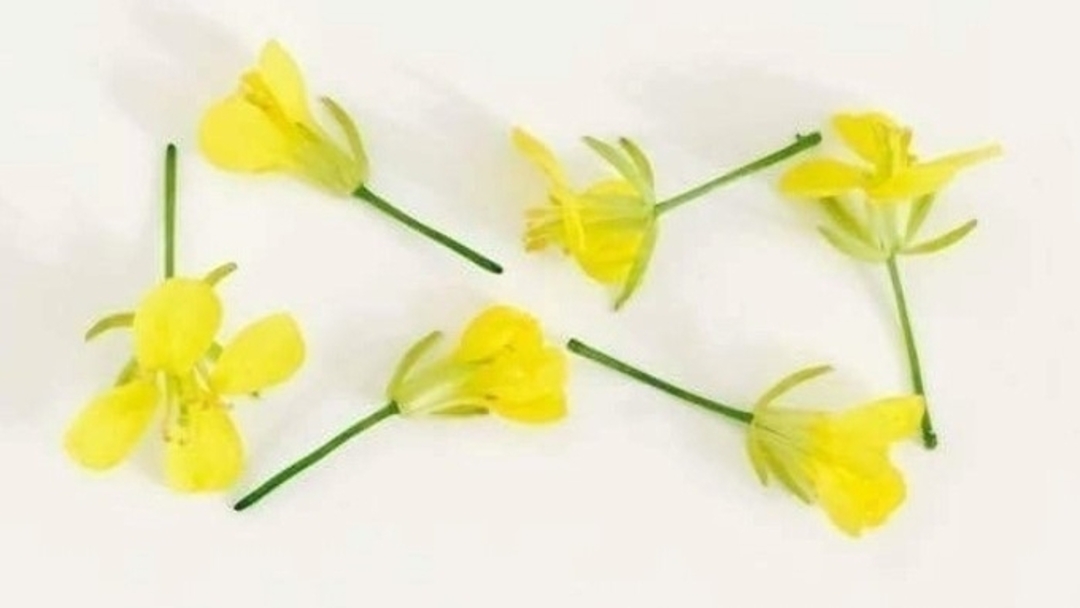 12년간 ‘노란 리본’을 내리지 않는 이유